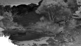 Still 2 from this detection