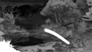 Still 1 from this detection