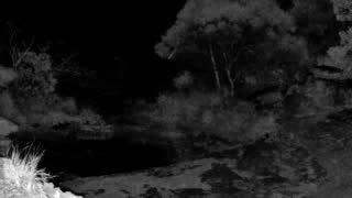 Still 2 from this detection
