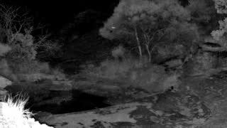 Still 3 from this detection