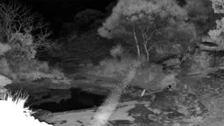 Still 3 from this detection