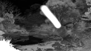 Still 2 from this detection