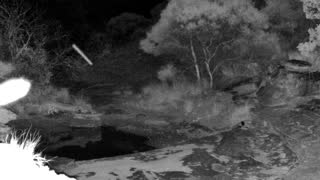 Still 2 from this detection
