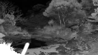 Still 2 from this detection