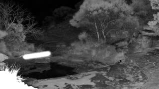 Still 2 from this detection