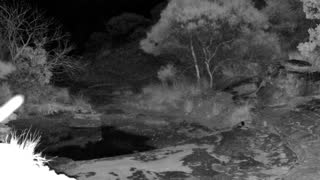 Still 1 from this detection