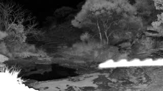 Still 2 from this detection
