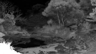 Still 2 from this detection