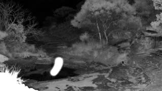 Still 2 from this detection