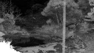 Still 2 from this detection