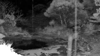 Still 3 from this detection