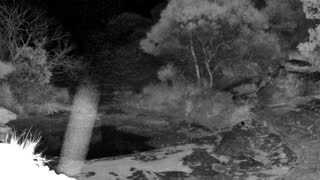 Still 1 from this detection