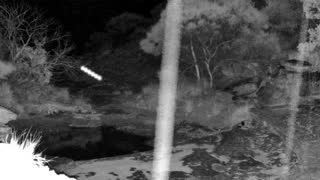 Still 1 from this detection