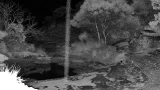 Still 3 from this detection
