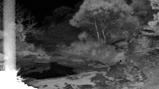 Still 1 from this detection