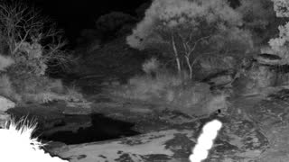 Still 2 from this detection