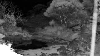 Still 1 from this detection