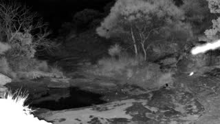 Still 1 from this detection