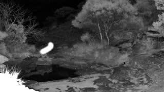 Still 1 from this detection