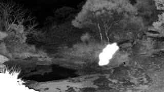 Still 2 from this detection