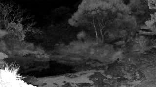 Still 2 from this detection