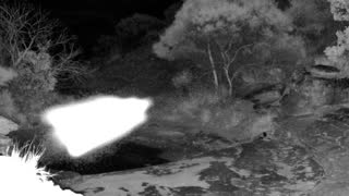 Still 1 from this detection