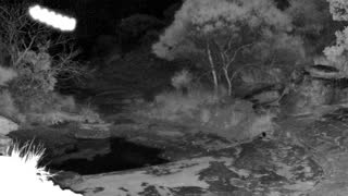 Still 1 from this detection