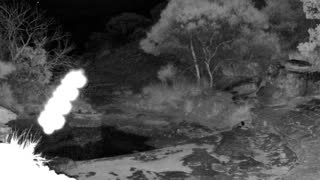 Still 1 from this detection
