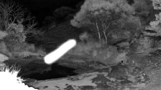 Still 2 from this detection