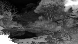 Still 1 from this detection