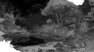 Still 1 from this detection