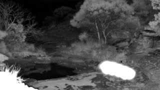 Still 1 from this detection