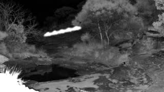 Still 1 from this detection