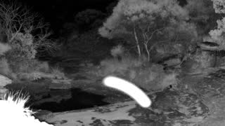 Still 1 from this detection