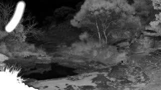Still 2 from this detection