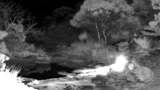 Still 3 from this detection
