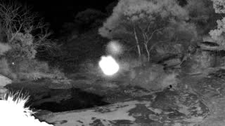 Still 1 from this detection