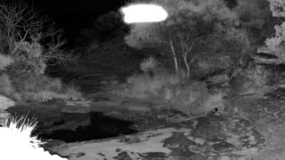 Still 1 from this detection
