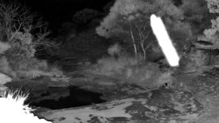 Still 1 from this detection