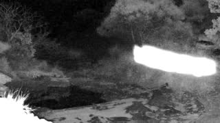 Still 3 from this detection