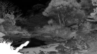 Still 1 from this detection
