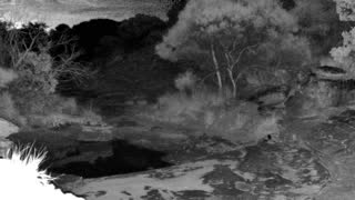 Still 1 from this detection