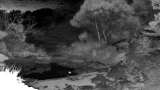 Still 1 from this detection