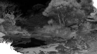 Still 2 from this detection