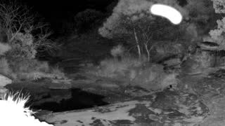 Still 1 from this detection