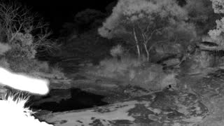 Still 1 from this detection