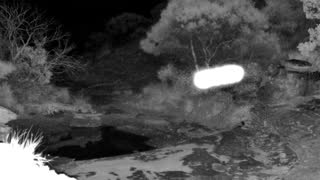 Still 1 from this detection