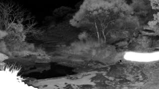 Still 2 from this detection