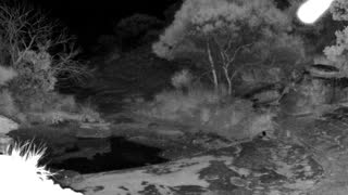 Still 1 from this detection