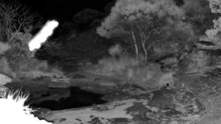 Still 2 from this detection